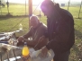 Arbeitseinsatz 2011